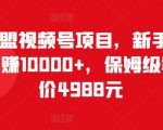 猎人联盟视频号项目,新手0基础轻松月赚10000+,保姆级教程原价4988元-最全资源库