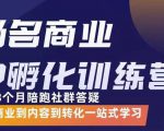 杨名商业IP孵化训练营,从商业到内容到转化一站式学 价值5980元-最全资源库
