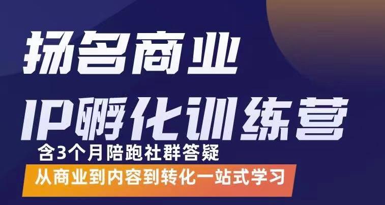 杨名商业IP孵化训练营，从商业到内容到转化一站式学 价值5980元-最全资源库
