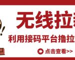 最新接码无限拉新项目,利用接码平台赚拉新平台差价,轻松日赚500+-最全资源库