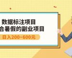 副业赚钱：人工智能数据标注项目，简单易上手，小白也能日入200+-最全资源库