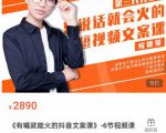 《有嘴能就火的抖文音案课》第八十期升级版,让会不写文案的人,写出一可篇传播的完文整案-最全资源库