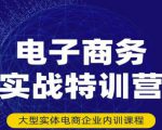 民赛电气内部出品:电子商务实战特训营,全方位带你入门电商,308种方式玩转电商-最全资源库
