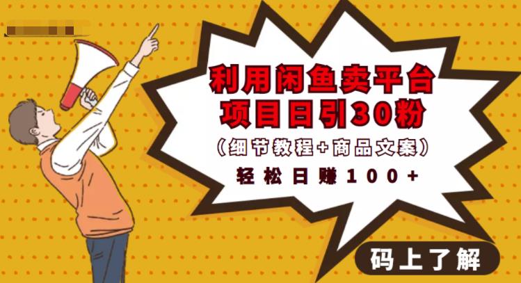 利用闲鱼卖平台项目课程资源日引流30+精准粉丝,轻松日赚100+,积累人脉可实现二次变-最全资源库