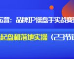 秒懂代运营:品牌IP操盘手实战赚钱,0-1起盘和落地实操(23节课程)价值199-最全资源库