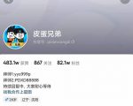 沙雕动画-皮蛋兄弟·熊猫人动画教学制作,全套素材文案教程分享!-最全资源库