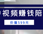 中视频赚钱陪跑，卖中视频账户赚钱收益陪跑项目（价值599元）-最全资源库