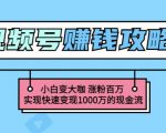 玩转微信视频号赚钱：小白变大咖涨粉百万实现快速变现1000万的现金流-最全资源库