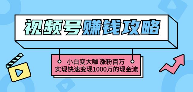 玩转微信视频号赚钱：小白变大咖涨粉百万实现快速变现1000万的现金流-最全资源库
