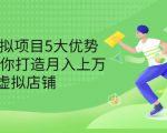 拆解虚拟项目5大优势，0基础教你打造月入上万虚拟店铺（无水印）-最全资源库