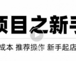 虚拟项目快速起店模式,0成本打造月入几万虚拟店铺!-最全资源库