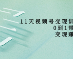 11天视频号变现训练营，从0到1打造变现赚钱系统（价值398元）-最全资源库