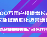 8000万用户规模增长方法论私域精细化运营增长,私域流量硬课助力业务跃迁-最全资源库