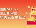 利用正规的MTurk微型众包工作平台,月赚1100美元的小技巧-最全资源库