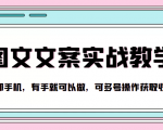 抖音图文文案实战教学，一部手机，有手就可以做，可多号操作获取收益-最全资源库