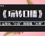 月营业额700万+大佬教您《玩转口播》让你从“小白”到剪辑“大师”-最全资源库