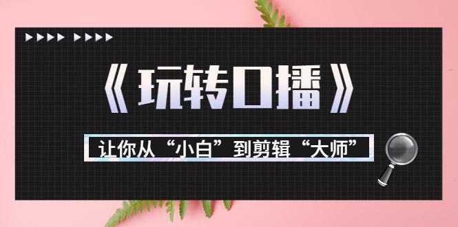 月营业额700万+大佬教您《玩转口播》让你从“小白”到剪辑“大师”-最全资源库