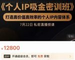 个人IP吸金密训班，打造高价值高效率的个人IP内容体系（价值12800元）-最全资源库