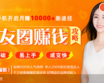 全网千万人气导师亲授:零基础/易上手的朋友圈赚钱攻略,让你轻松月入过万-最全资源库