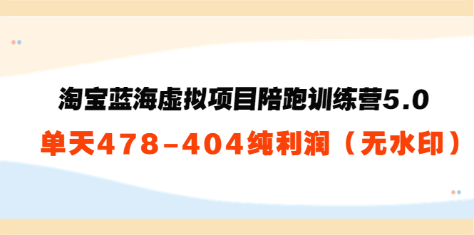 淘宝蓝海虚拟项目陪跑训练营5.0：单天478纯利润-最全资源库