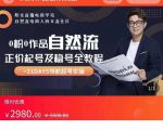 0粉0作品自然流正价起号及稳号全教程,专业自然流起号机构流程化教学(价值2980元)-最全资源库