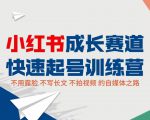 小红书成长赛道快速起号训练营,不露脸不写长文不拍视频,0粉丝冷启动变现之路-最全资源库