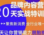 《内容营销实操特训营》20天让你营销能力脱胎换骨(价值3999)-最全资源库