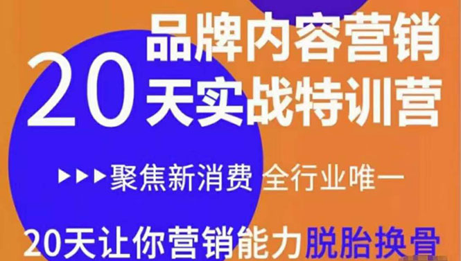 《内容营销实操特训营》20天让你营销能力脱胎换骨(价值3999)-最全资源库