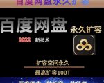 百度网盘无限扩容技术，外面卖399的，无论自己用还是用做引流都可以-最全资源库