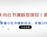 21天小红书涨粉变现营（第3期）：带你掌握小红书爆款玩法，月赚10W+秘密-最全资源库