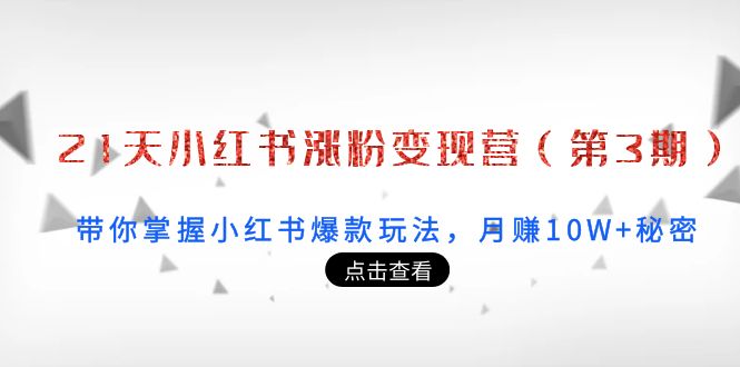 21天小红书涨粉变现营(第3期):带你掌握小红书爆款玩法,月赚10W+秘密-最全资源库