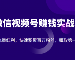 微信视频号赚钱实战：抓住流量红利，快速积累百万粉丝，赚取你的第一桶金-最全资源库