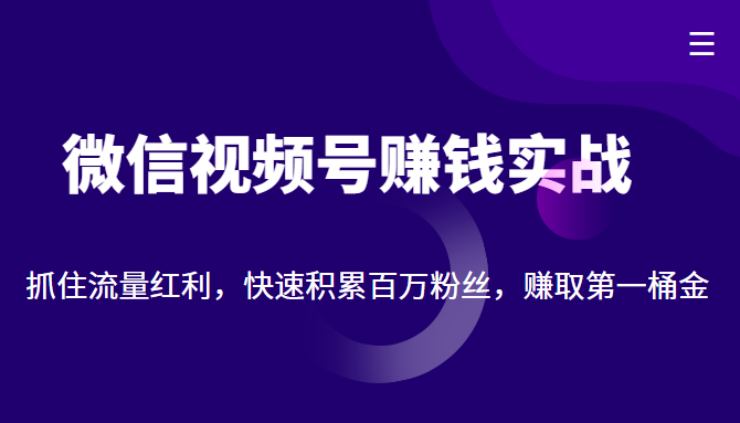 微信视频号赚钱实战：抓住流量红利，快速积累百万粉丝，赚取你的第一桶金-最全资源库