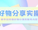 好物分享实操:新手如何做好物分享的账号内容,实操教学-最全资源库