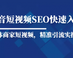 抖音短视频Seo搜索排名优化新手快速入门教程，实体商家短视频，精准引流实操课-最全资源库
