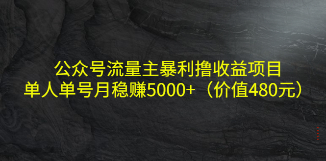 公众号流量主暴利撸收益项目，单人单号月稳赚5000+（价值480元）-最全资源库