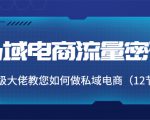 私域电商流量密码:千万级大佬教您如何做私域电商(12节课)-最全资源库