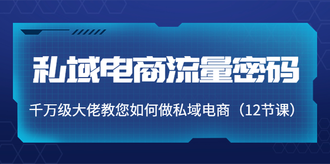 私域电商流量密码:千万级大佬教您如何做私域电商(12节课)-最全资源库