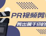 PR视频剪辑课：各种剪辑与视频特效玩法，剪出属于你的大片-最全资源库