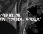 新媒体IP内训营(12期),一套全新的“公域引流,私域成交”IP打法,直接带走-最全资源库