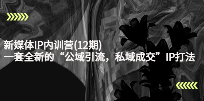新媒体IP内训营(12期),一套全新的“公域引流,私域成交”IP打法,直接带走-最全资源库
