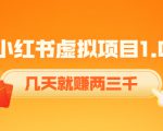 《小红书虚拟项目1.0》账号注册+养号+视频制作+引流+变现,几天就赚两三千-最全资源库