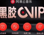 网易云音乐撸黑胶年卡及变现方法,收益可无限放大-最全资源库