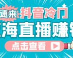 最新抖音冷门简单的蓝海直播赚钱玩法,流量大知道的人少,可做到全无人直播-最全资源库