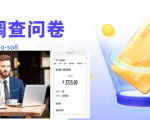 跨境问卷项目,操作简单一天稳定100美刀,每个月能挣1-3W-最全资源库