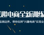 兴趣电商全新训练营:打破品销边界,带你玩转“兴趣电商“实现业务增长-最全资源库