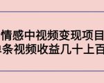 副业孵化营第5期:抖音情感中视频变现项目孵化 单条视频收益几十上百-最全资源库