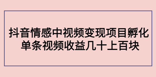 副业孵化营第5期:抖音情感中视频变现项目孵化 单条视频收益几十上百-最全资源库