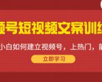 视频号短视频文案训练营:0基础小白如何建立视频号,上热门,能卖货!-最全资源库