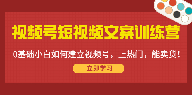 视频号短视频文案训练营:0基础小白如何建立视频号,上热门,能卖货!-最全资源库